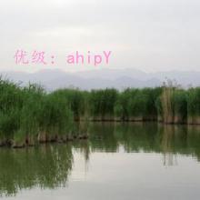 ˮ